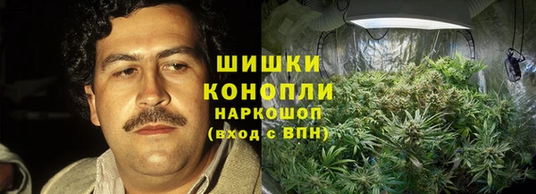 гидра Алексин